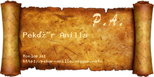 Pekár Anilla névjegykártya